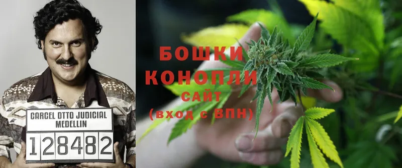 Бошки Шишки OG Kush  Кореновск 